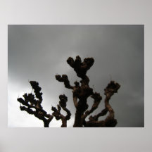 Árbol y nubes poster