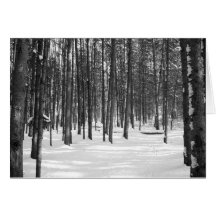 Arbolados del invierno tarjetas