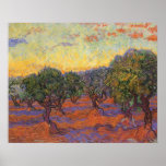 Arboleda verde oliva, cielo anaranjado de Van Gogh Poster