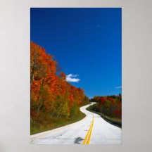 árboles curvy del camino de Vermont New Hampshire Impresiones