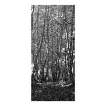 Árboles de BW Diseño De Tarjeta Publicitaria