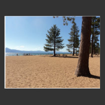 Árboles de hoja perenne del lago Tahoe tarjetas postales
