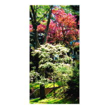 Árboles de la primavera tarjetas con fotos personalizadas