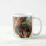 Árboles de la sangre de dragones tazas