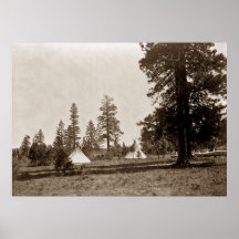 Árboles de pino de los tipis de Yakima y poster de
