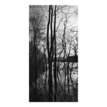 Árboles de Swinsty reflexivos Tarjeta Con Foto Personalizada