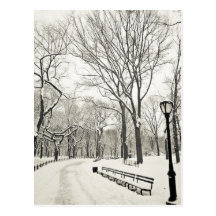 Árboles del invierno cubiertos en nieve postales