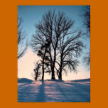 Árboles del invierno en el fondo crepuscular del c posters