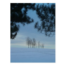 Árboles del invierno postal