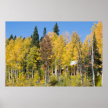 Árboles del otoño posters