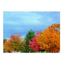 Árboles del otoño tarjeta postal