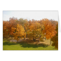 Árboles del otoño tarjetas