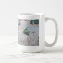 Árboles en invierno temprano tazas