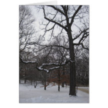 Árboles en la nieve I Felicitación