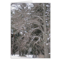 Árboles en la nieve III Tarjeta