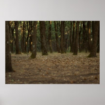 Árboles en Mt el Etna Posters