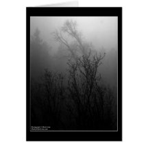 Árboles en niebla felicitacion 