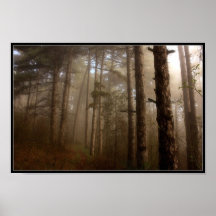 Árboles en niebla poster