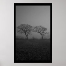 Árboles en silueta de la niebla poster