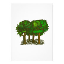 Árboles en un bosque invitaciones personalizada
