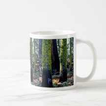 Árboles gigantes - bosque del Estado de la secoya Tazas De Café