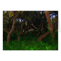 Árboles Gnarled Felicitaciones