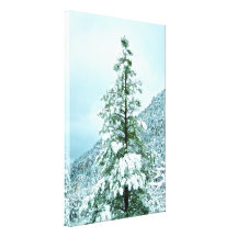 Árboles nevados del paisaje de la montaña de Sedon Lona Envuelta Para Galerias