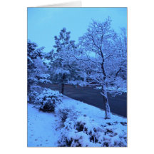 Árboles nevados tarjetas