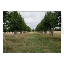 Árboles por el campo de golf del palacio del Hampt Tarjeton