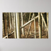 árboles poster