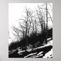 Árboles Poster