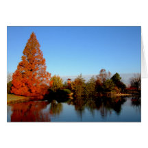 Arboreto de $cox tarjeta