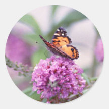 arbusto de mariposa y mariposa etiqueta redonda