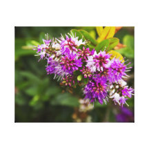 Arbusto floral púrpura impresiones en lienzo estiradas