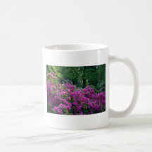 Arbustos coloreados taza de café