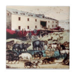 Arca de Noahs Azulejos Ceramicos