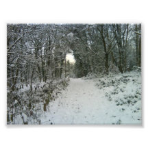 Arcada en la nieve cojinete