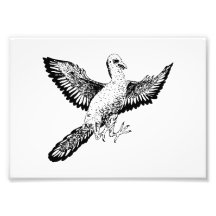 Archaeopteryx Impresión Fotográfica