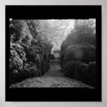 Architecture-40 Poster-Meridional