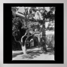 Architecture-75 Poster-Meridional