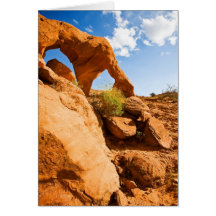 Arco de la punta de flecha tarjeton