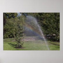 Arco iris asperjado posters
