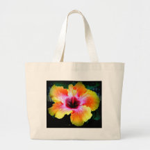 Arco iris Brite Bolsa