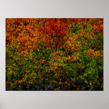 Arco iris del otoño poster