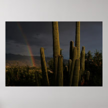 Arco iris del Saguaro Impresiones