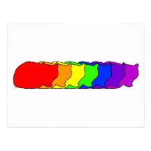 Arco iris exótico tarjeta postal