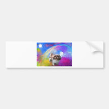 Arco iris fetch.jpg pegatina de parachoque