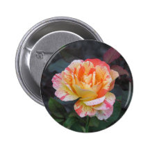 Arco iris Niágara Pins