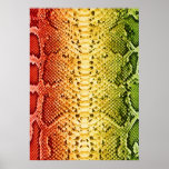 Arco iris Snakeskin Impresiones
