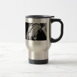 Arcos Taza
